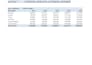 perform professional data analysis, cleaning, macros and visualization in excel